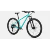 Specialized Rockhopper Expert 29 Mountain Bike