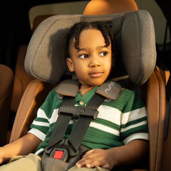 Xetch 2-in-1 Harness Booster Seat – Safe, Adjustable & Travel-Friendly - Image 62
