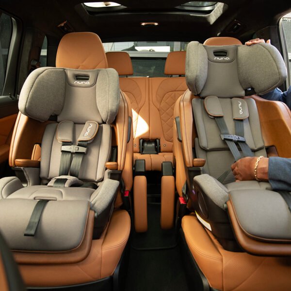 Xetch 2-in-1 Harness Booster Seat – Safe, Adjustable & Travel-Friendly - Image 56